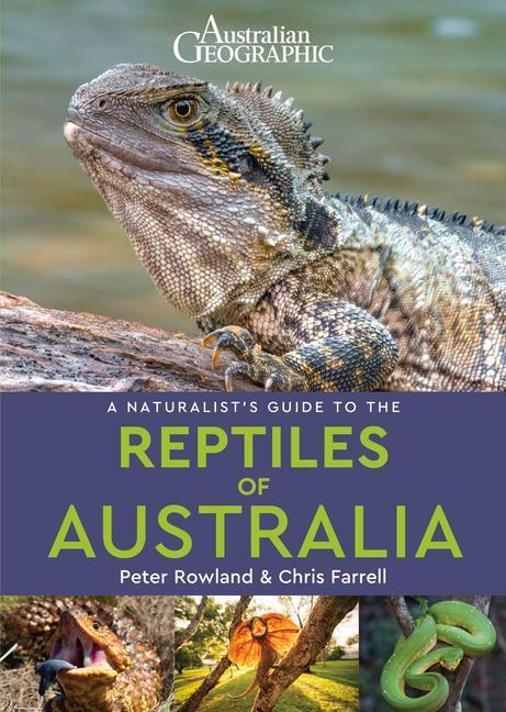 Cover: 9781912081035 | A Naturalist's Guide to the Reptiles of Australia (2nd edition) | Buch