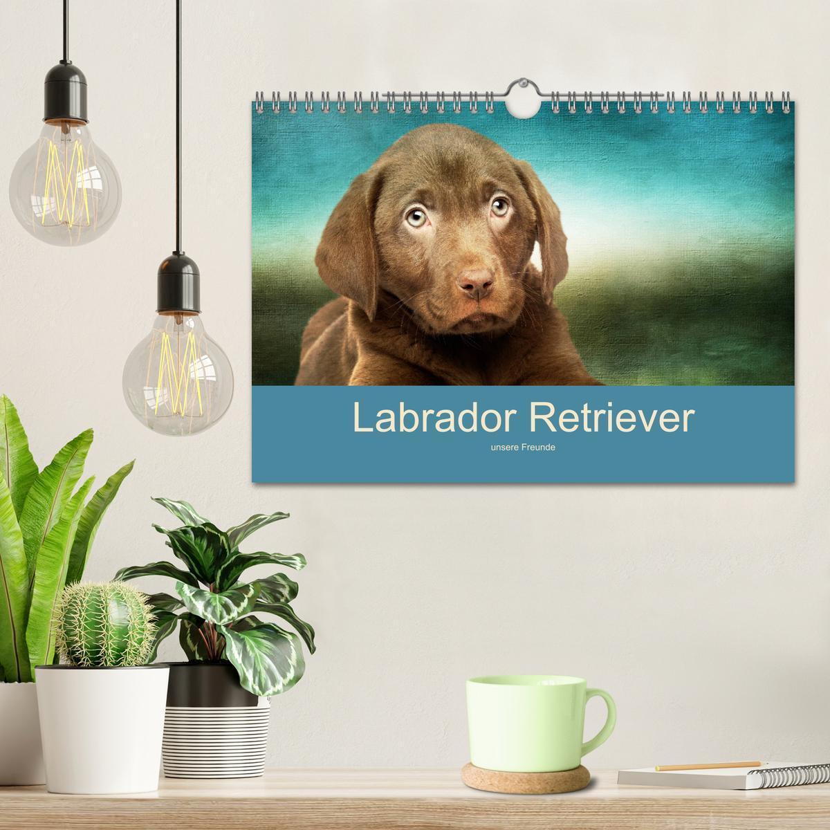 Bild: 9783435161805 | Labrador Retriever unsere Freunde (Wandkalender 2025 DIN A4 quer),...