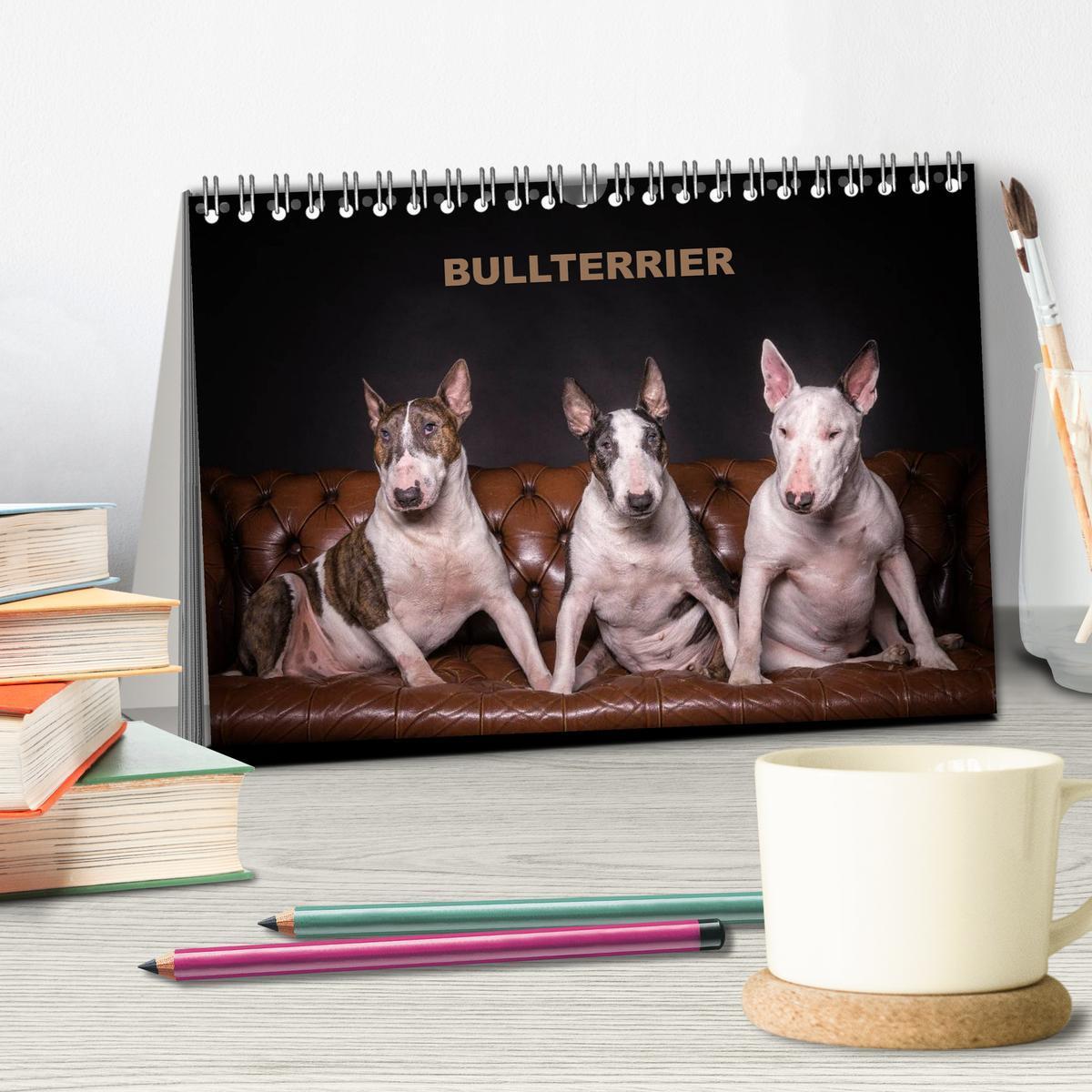 Bild: 9783435557431 | Bullterrier (Tischkalender 2025 DIN A5 quer), CALVENDO Monatskalender