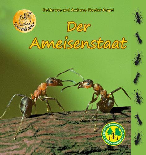 Cover: 9783930038138 | Der Ameisenstaat | Heiderose Fischer-Nagel (u. a.) | Buch | 40 S.