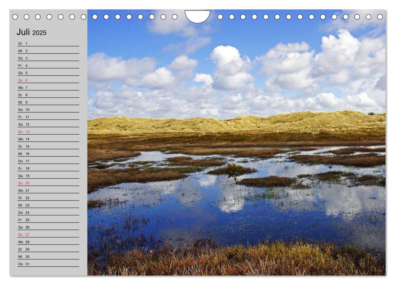 Bild: 9783435725113 | Dänemark - Umgebung von Hvide Sande (Wandkalender 2025 DIN A4...