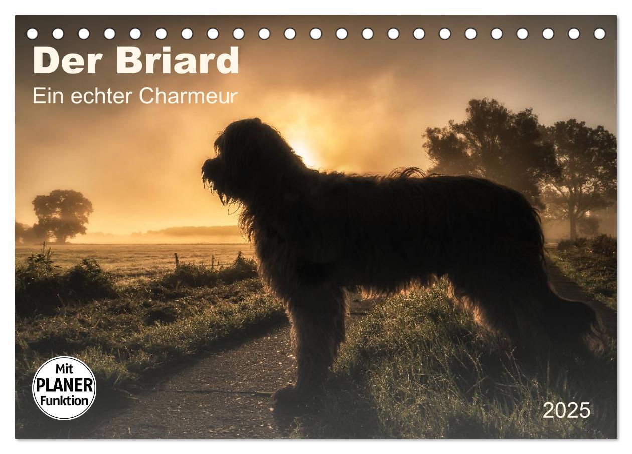 Cover: 9783435468775 | Der Briard 2025 - Ein echter Charmeur (Tischkalender 2025 DIN A5...