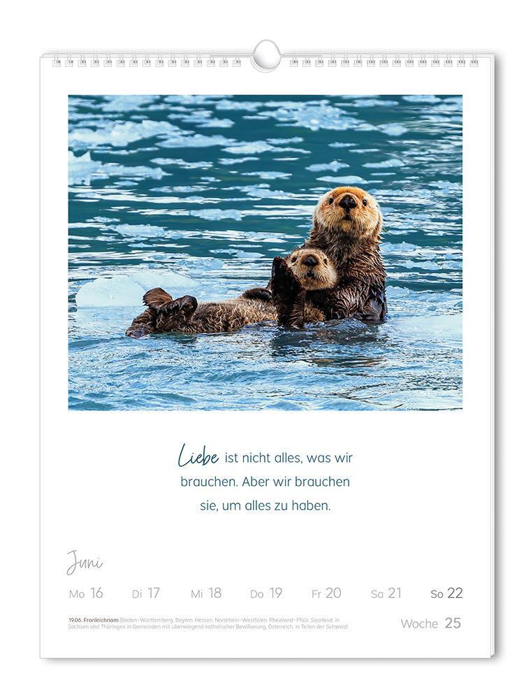 Bild: 9783986361129 | Wochenkalender 2025 LebensWeisheiten | Wochenkalender groß | Original