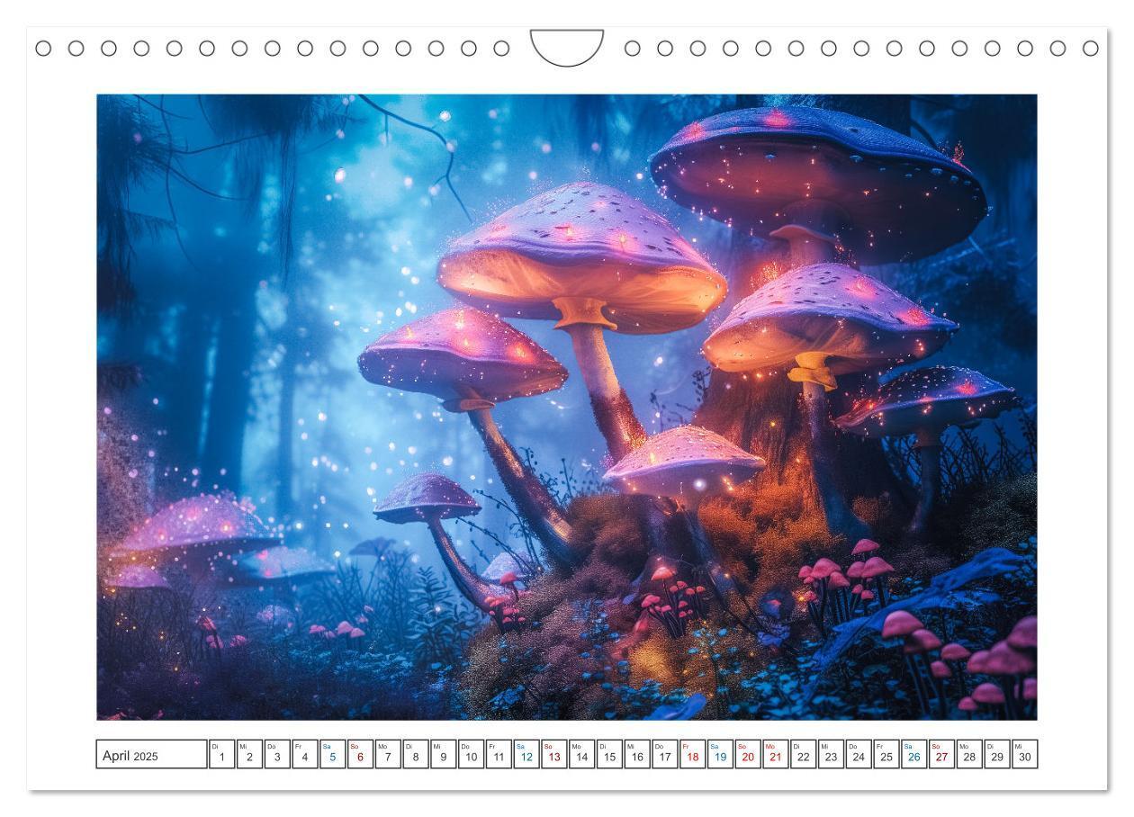 Bild: 9783457153604 | Zauberhafte Waldmomente (Wandkalender 2025 DIN A4 quer), CALVENDO...