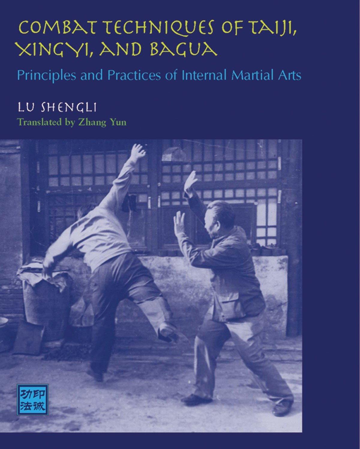 Cover: 9781583941454 | Combat Techniques of Taiji, Xingyi, and Bagua: Principles and...
