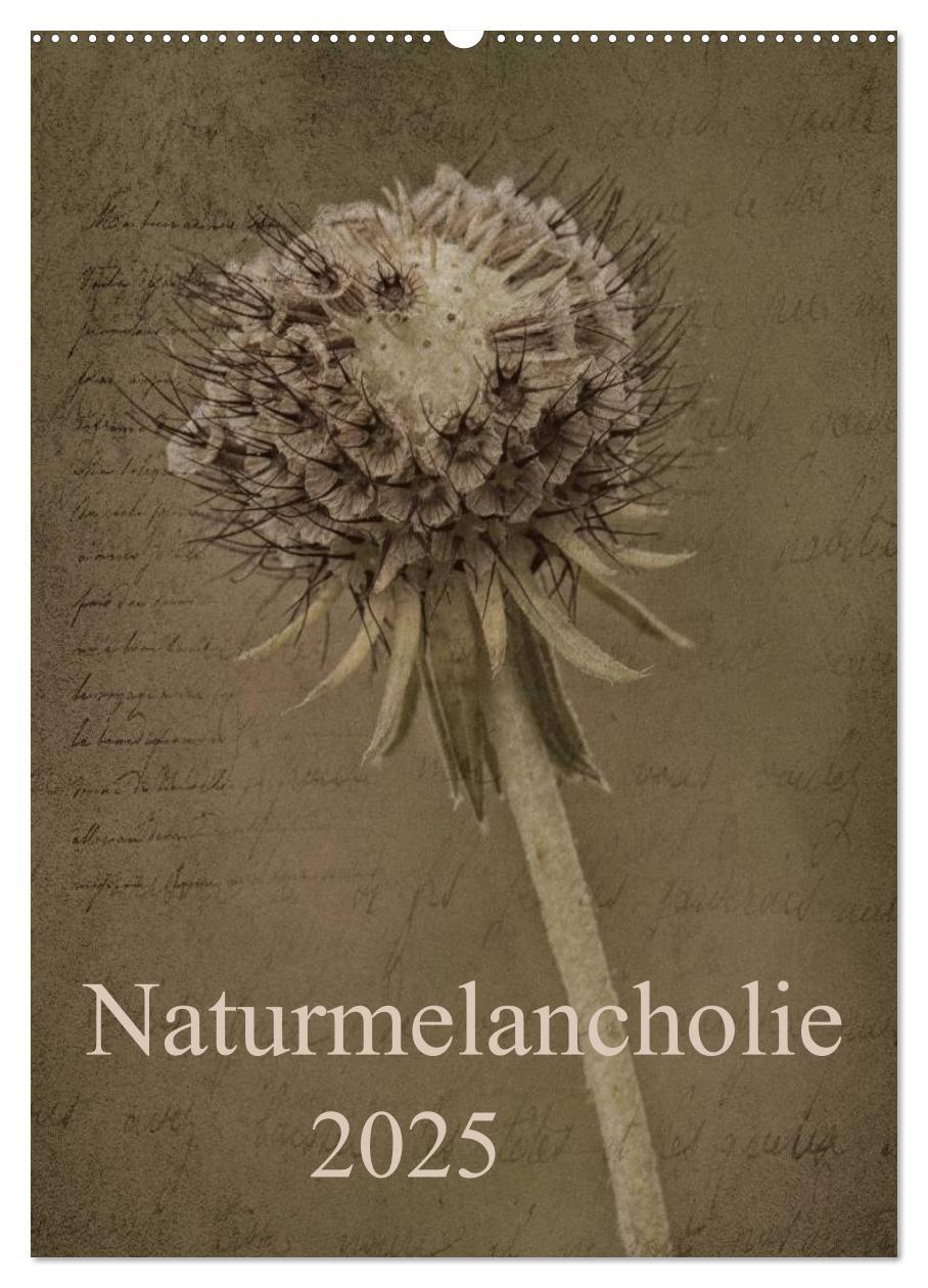 Cover: 9783457038338 | Naturmelancholie 2025 (Wandkalender 2025 DIN A2 hoch), CALVENDO...