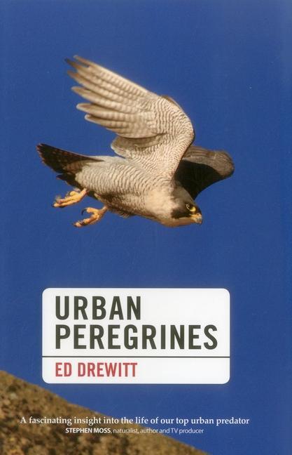 Cover: 9781907807817 | Urban Peregrines | Ed Drewitt | Buch | Gebunden | Englisch | 2014