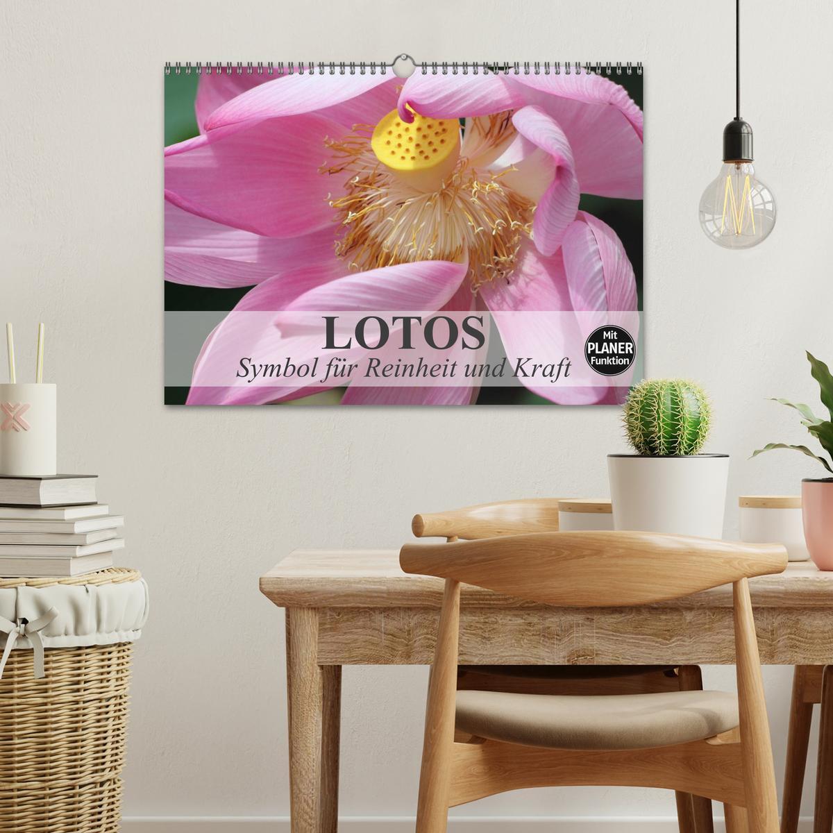 Bild: 9783435522682 | Lotos. Symbol für Reinheit und Kraft (Wandkalender 2025 DIN A3...