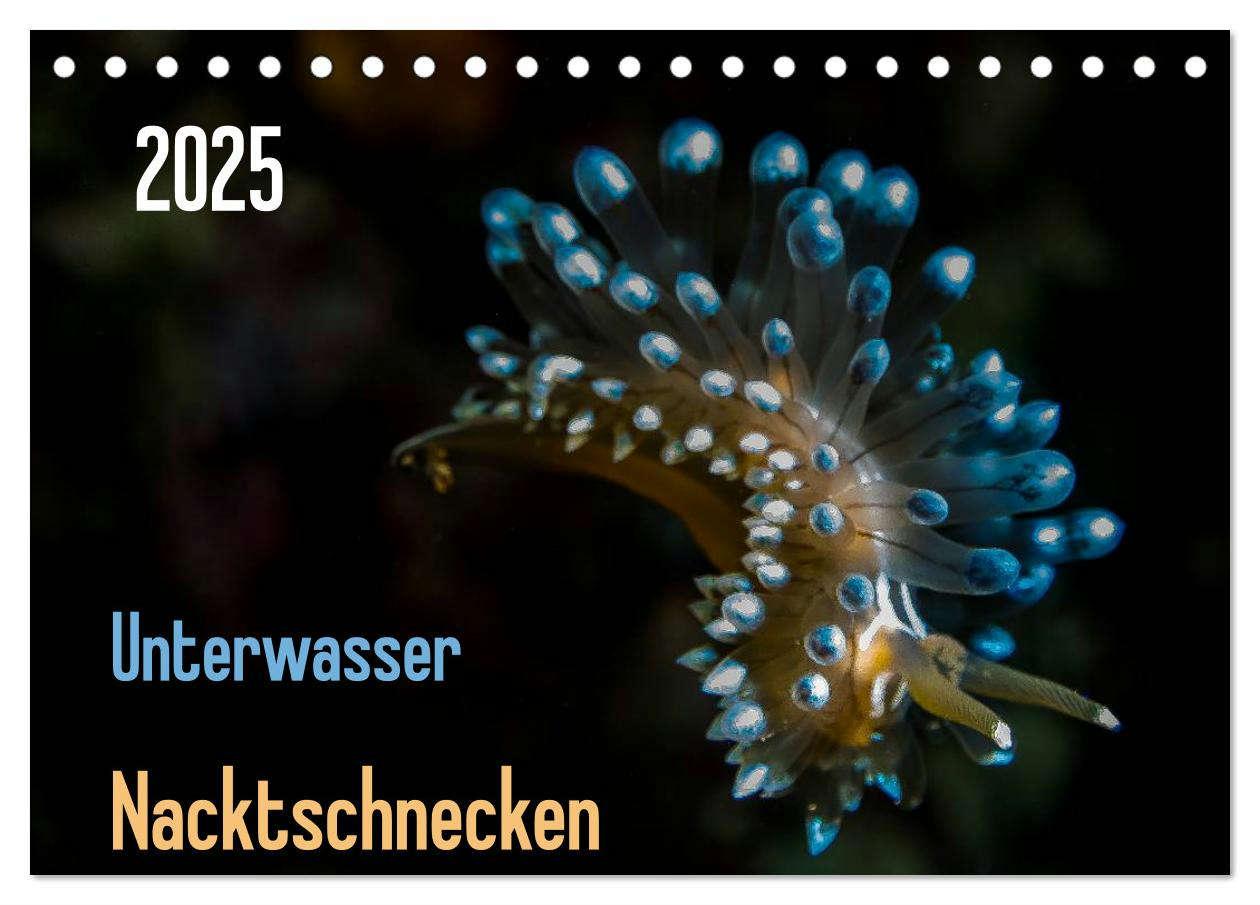 Cover: 9783435591701 | Unterwasser - Nacktschnecken 2025 (Tischkalender 2025 DIN A5 quer),...