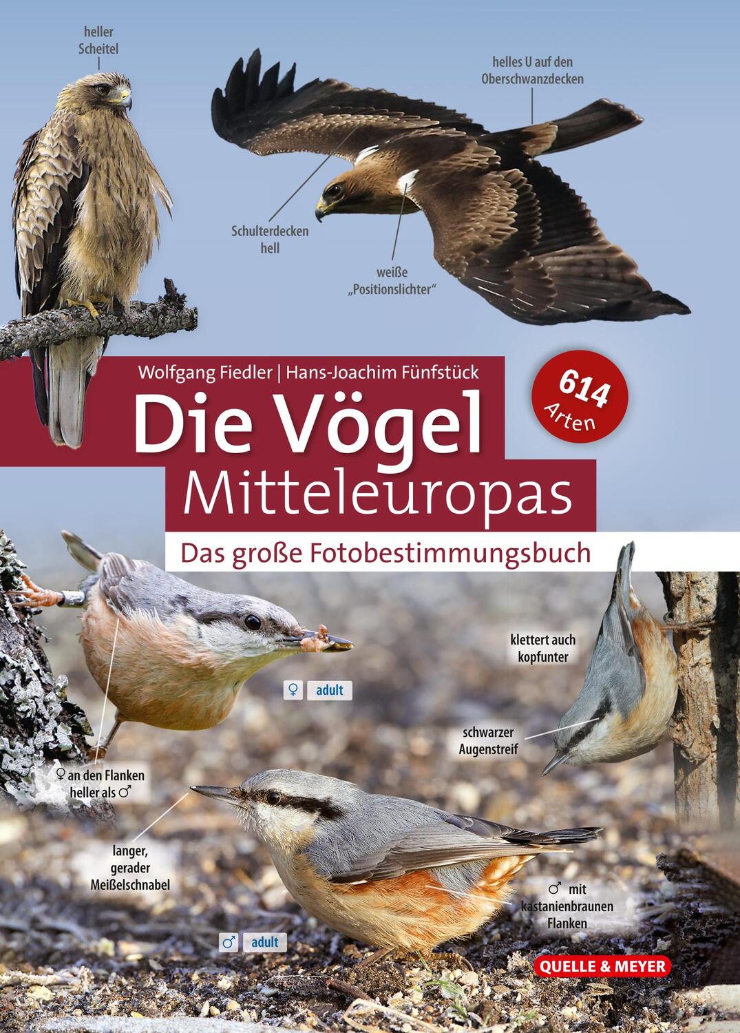 Cover: 9783494017648 | Die Vögel Mitteleuropas | Das große Fotobestimmungsbuch | Buch | 2021
