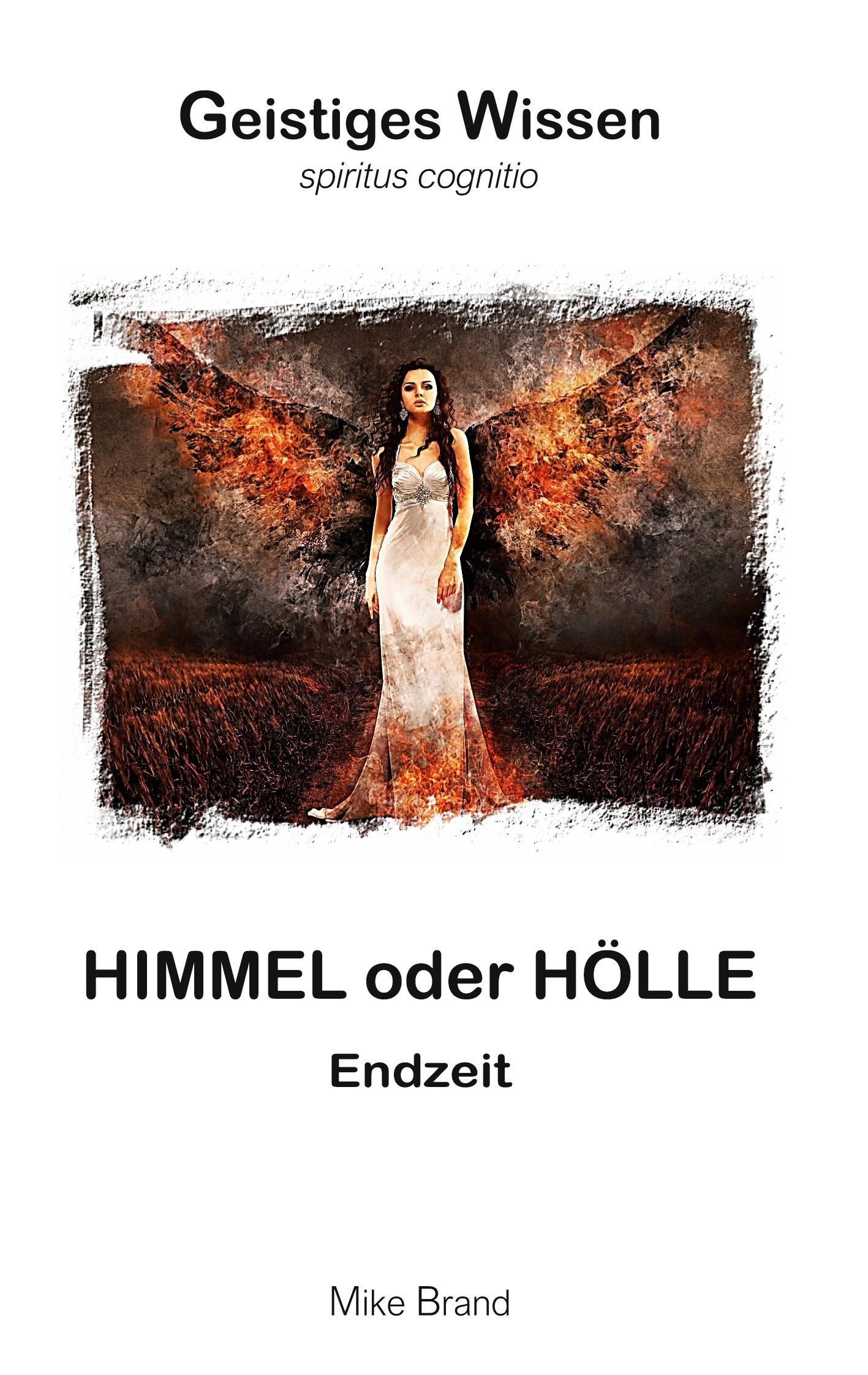 Cover: 9783743127470 | Himmel oder Hölle | Endzeit | Mike Brand | Taschenbuch | Paperback