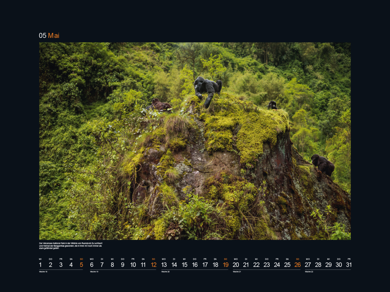 Bild: 9783965912595 | Farben der Erde Afrika - KUNTH Wandkalender 2024 | Kalender | 14 S.