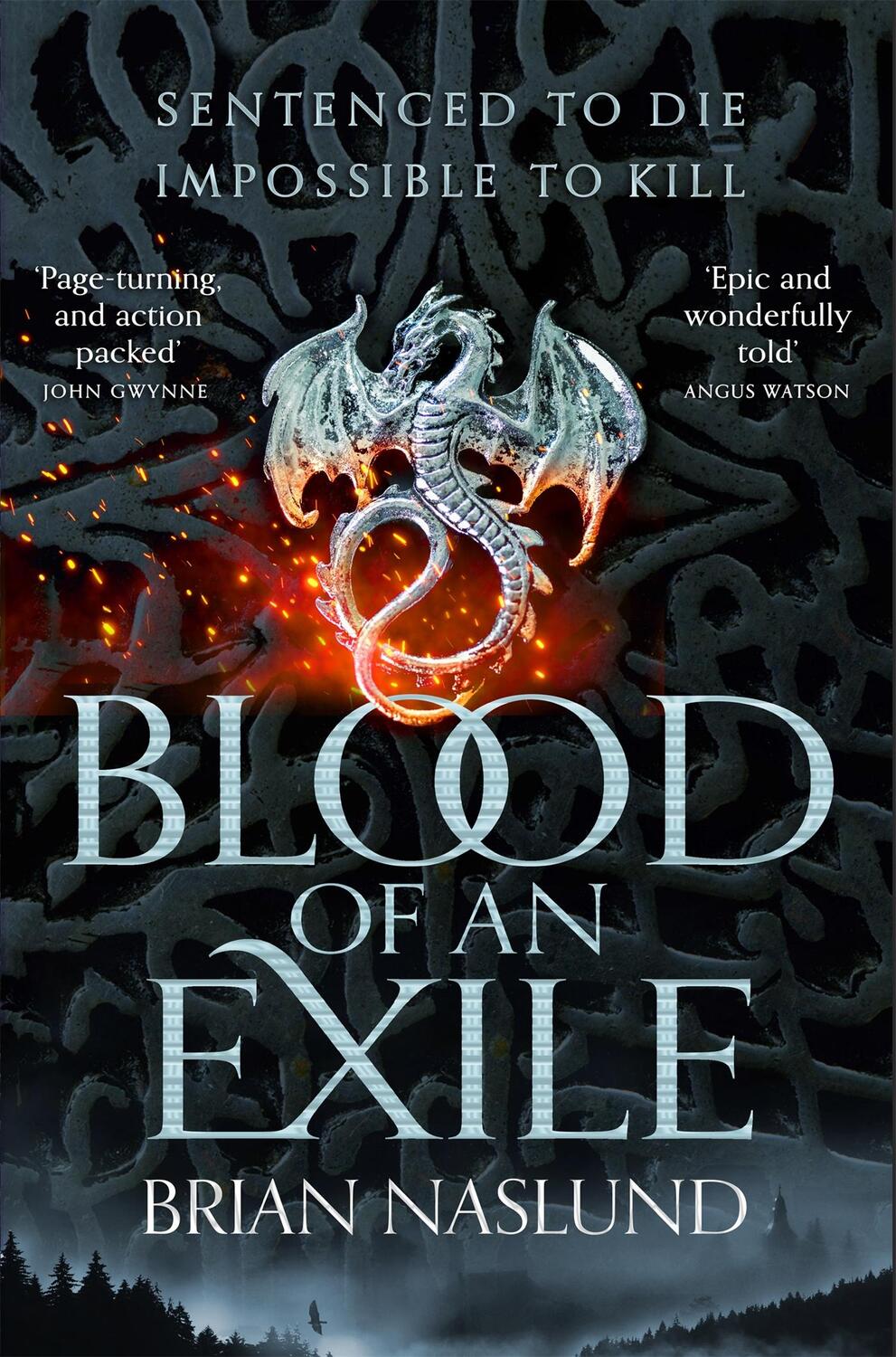 Cover: 9781529016147 | Blood of an Exile | Brian Naslund | Taschenbuch | Dragons of Terra