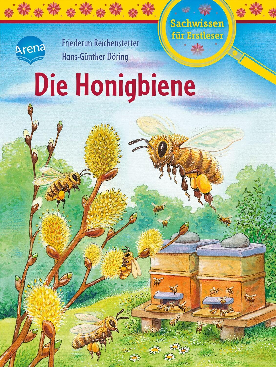 Cover: 9783401717739 | Die Honigbiene | Sachwissen für Erstleser | Friederun Reichenstetter