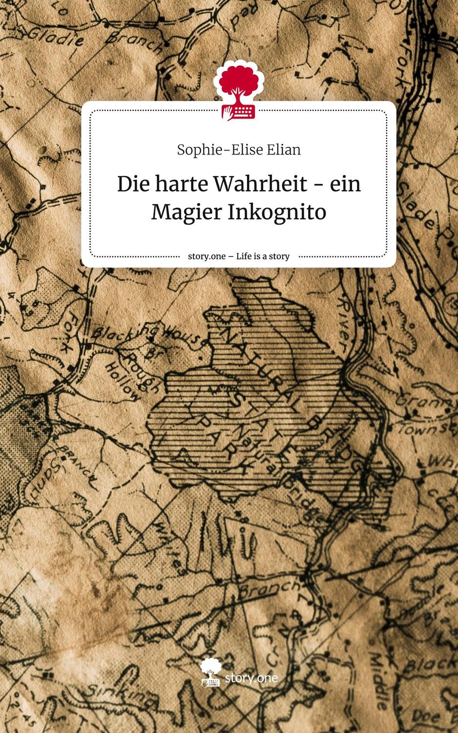 Cover: 9783710879562 | Die harte Wahrheit - ein Magier Inkognito. Life is a Story - story.one