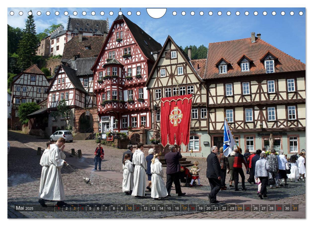 Bild: 9783435382194 | Miltenberg am Main (Wandkalender 2025 DIN A4 quer), CALVENDO...