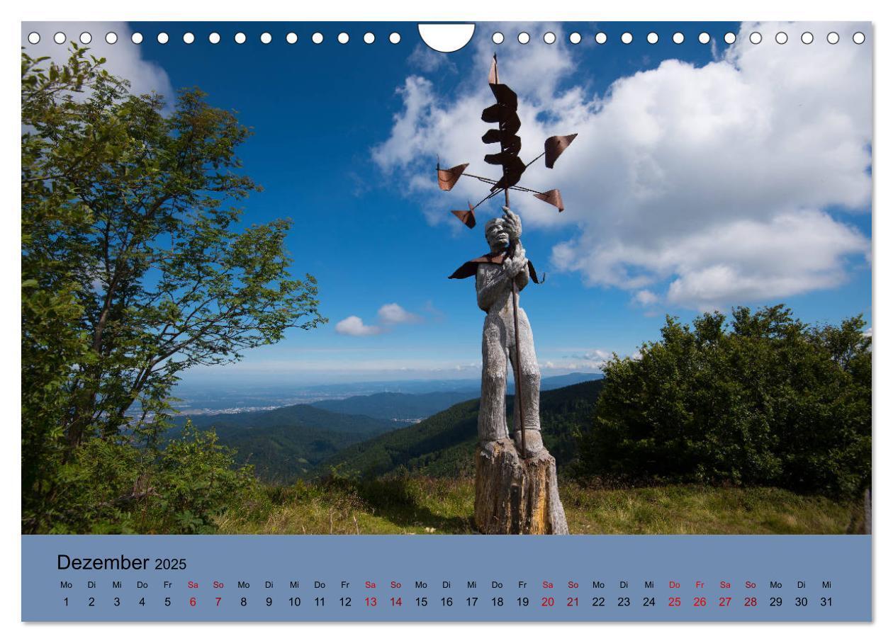 Bild: 9783435361205 | Wundervolles Freiburg (Wandkalender 2025 DIN A4 quer), CALVENDO...