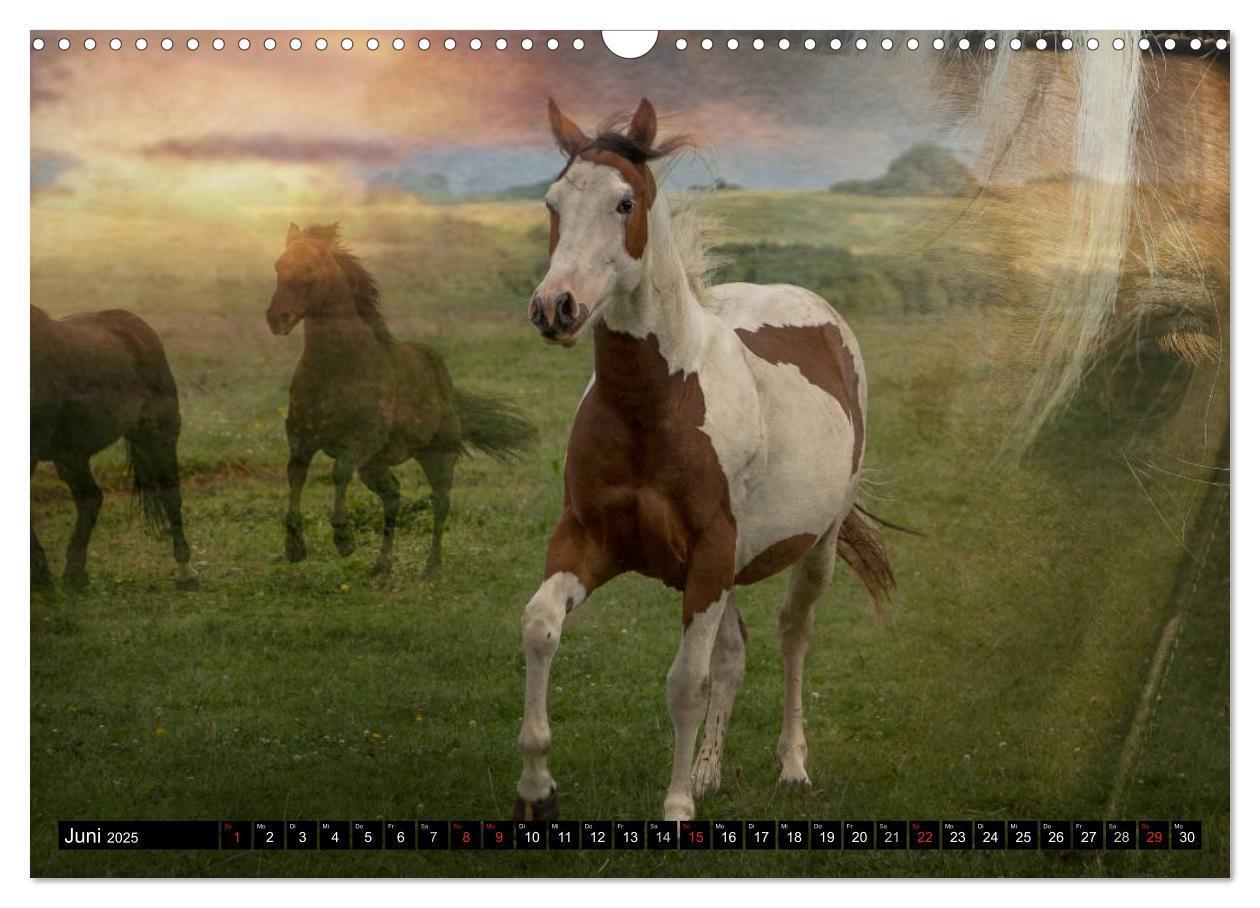 Bild: 9783435490103 | Western-Feeling (Wandkalender 2025 DIN A3 quer), CALVENDO...