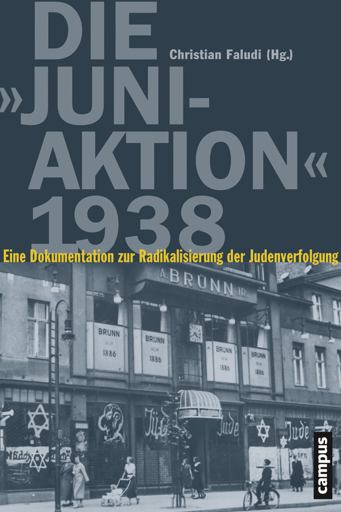 Cover: 9783593398235 | Die Juni-Aktion 1938 | Christian Faludi | Buch | 420 S. | Deutsch