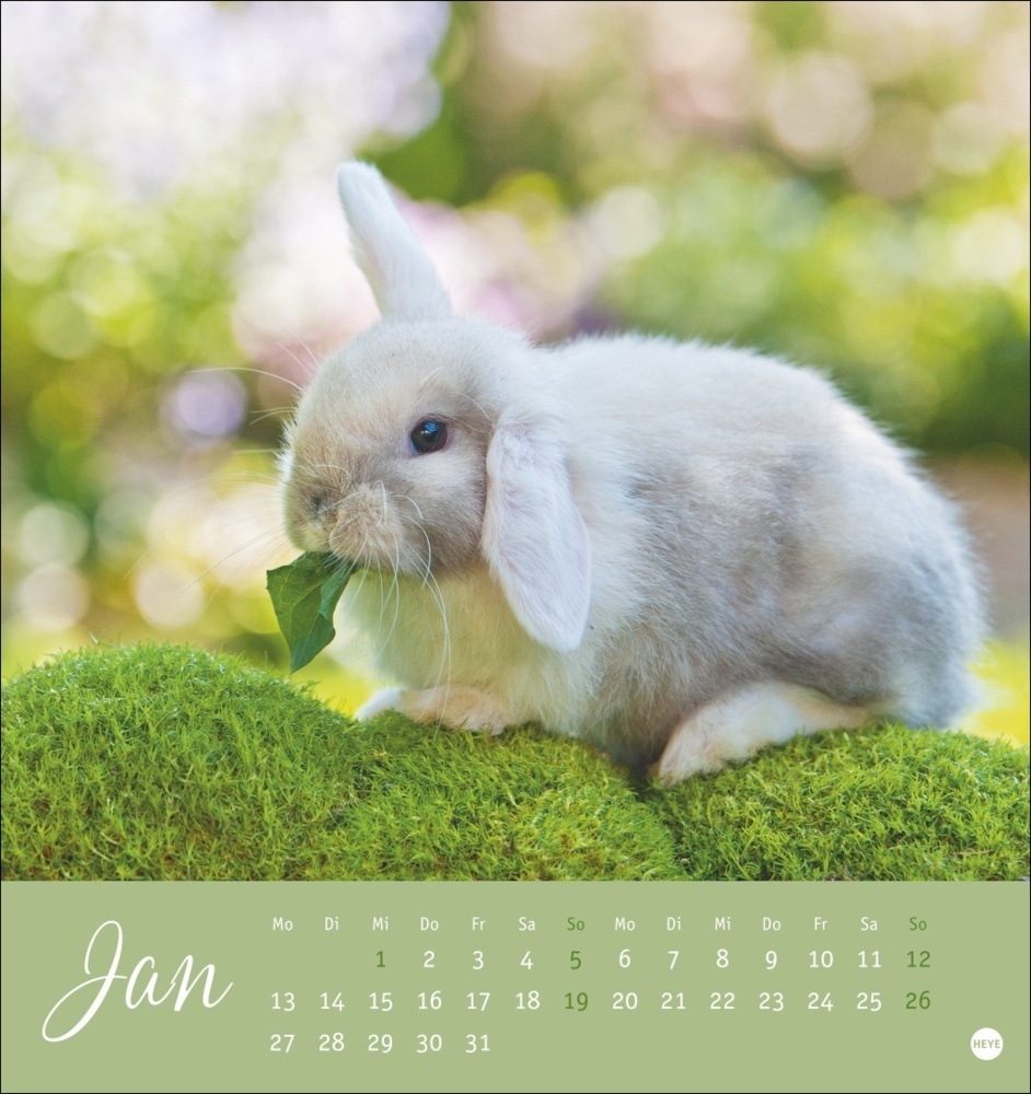 Bild: 9783756407057 | Süße Kaninchen Postkartenkalender 2025 | Monika Wegler | Kalender