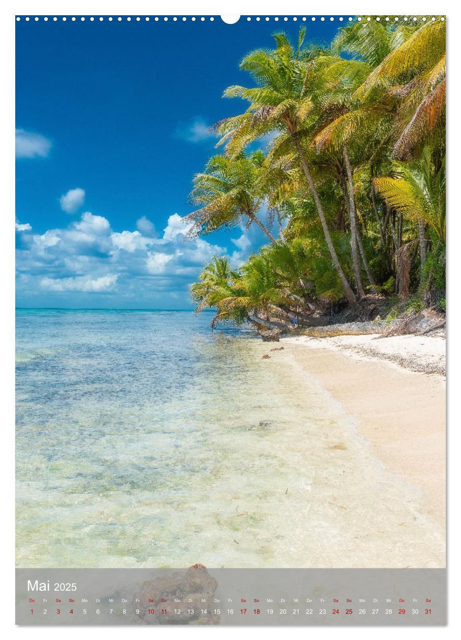 Bild: 9783435915682 | Karibischer Traum Isla Saona (Wandkalender 2025 DIN A2 hoch),...