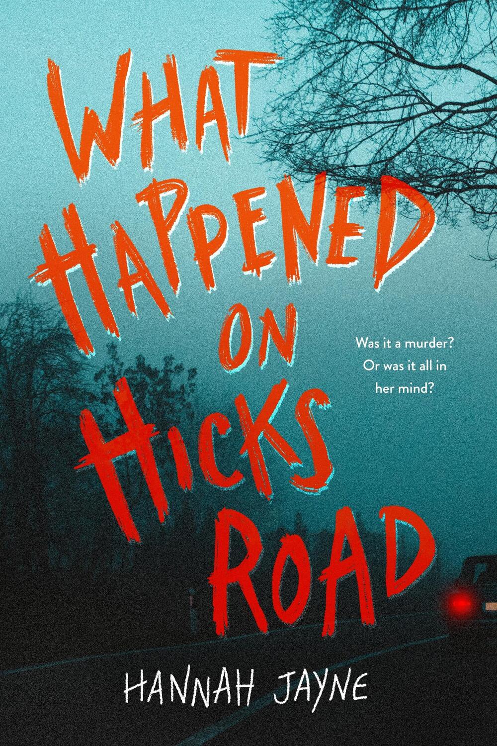 Cover: 9781728262918 | What Happened on Hicks Road | Hannah Jayne | Taschenbuch | Englisch