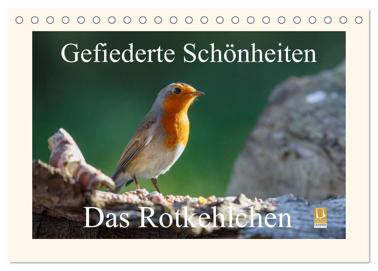 Cover: 9783383425202 | Gefiederte Schönheiten - Das Rotkehlchen (Tischkalender 2024 DIN A5...