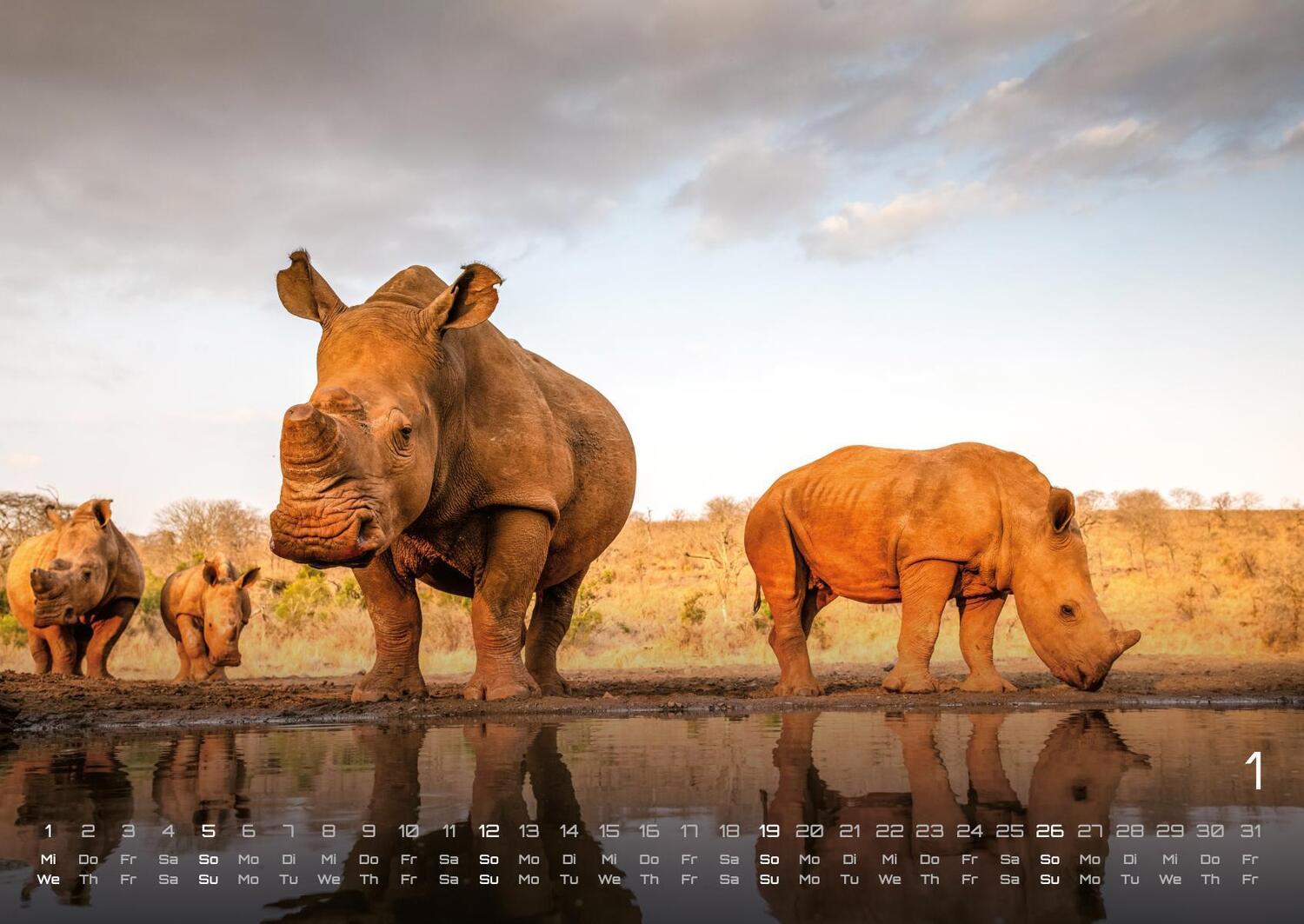 Bild: 9783986734374 | Afrikas Tierwelt - Der Tierkalender - 2025 - Kalender DIN A2 | de