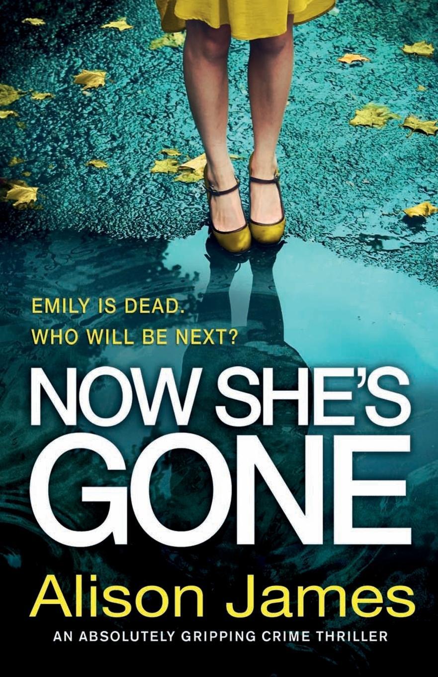 Cover: 9781786814142 | Now She's Gone | An absolutely gripping crime thriller | Alison James