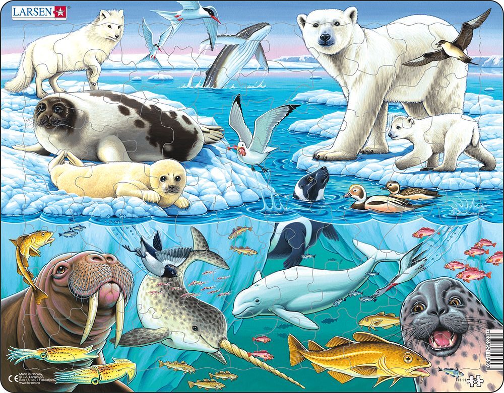 Cover: 7023852115893 | Puzzle - Tiere der Arktis | Puzzle | Larsen | EAN 7023852115893