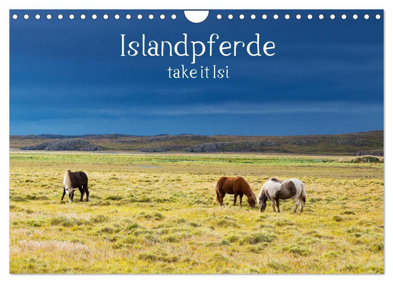 Cover: 9783383046186 | Islandpferde take it Isi (Wandkalender 2024 DIN A4 quer), CALVENDO...