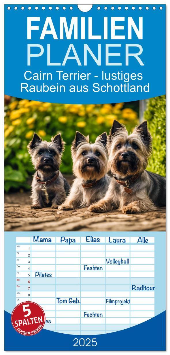 Cover: 9783457193105 | Familienplaner 2025 - Cairn Terrier - lustiges Raubein aus...