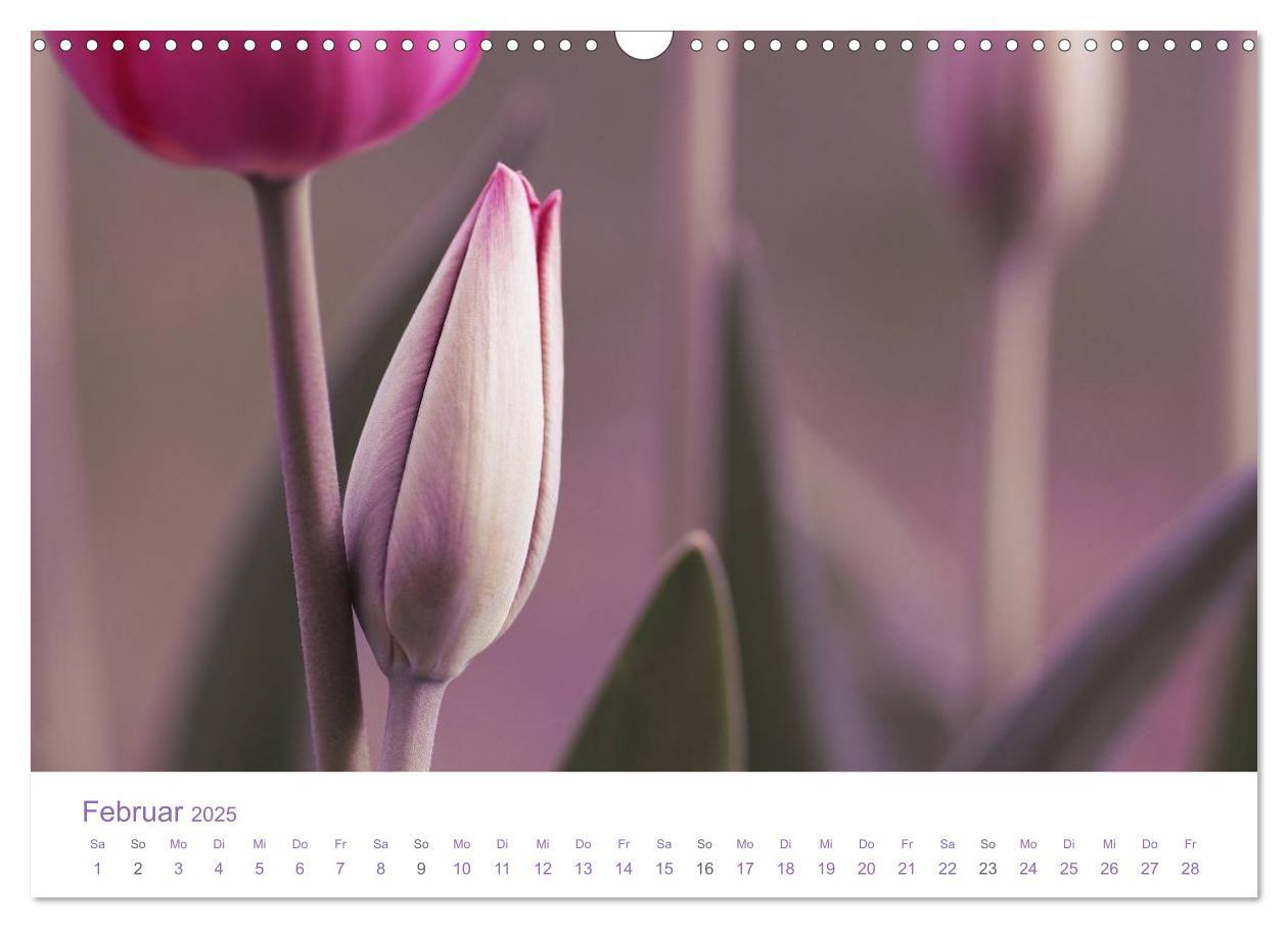 Bild: 9783435810048 | Blumen &amp; Blüten Träume (Wandkalender 2025 DIN A3 quer), CALVENDO...