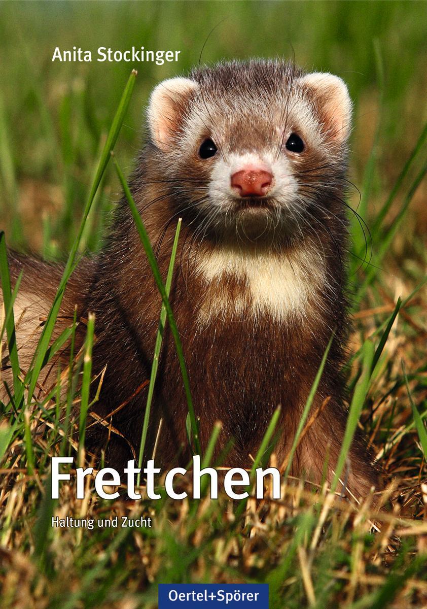 Cover: 9783886273188 | Frettchen | Haltung und Zucht | Anita Stockinger | Buch | Deutsch