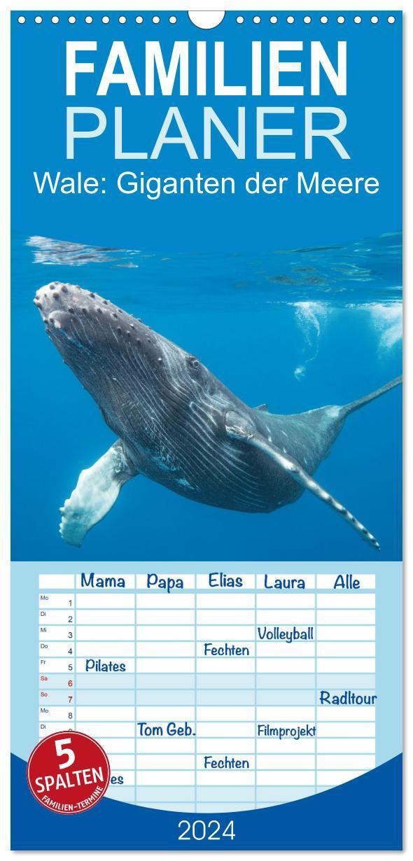 Cover: 9783383715402 | Familienplaner 2024 - Wale: Giganten der Meere mit 5 Spalten...