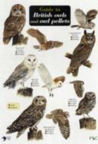 Cover: 9781851532353 | Thomas, L: Guide to British Owls and Owl Pellets | Leanne Thomas