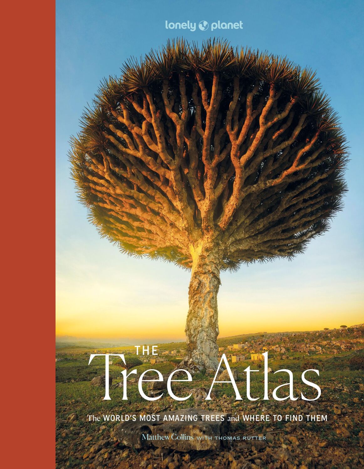 Cover: 9781837582679 | The Tree Atlas | Buch | Englisch | 2024 | Lonely Planet