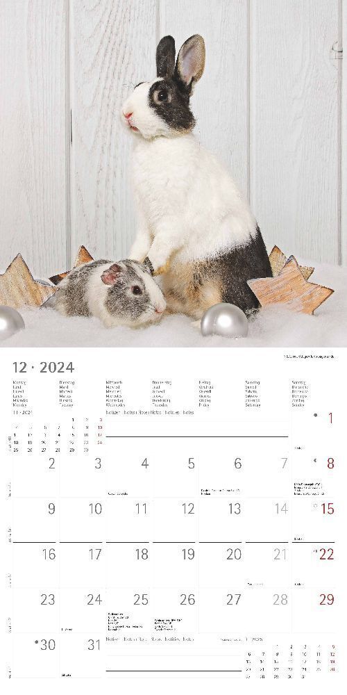 Bild: 4251732335472 | Tierfreundschaften 2024 - Broschürenkalender 30x30 cm (30x60...