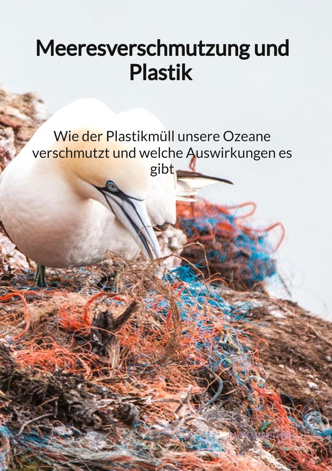 Cover: 9783347976054 | Meeresverschmutzung und Plastik - Wie der Plastikmüll unsere Ozeane...