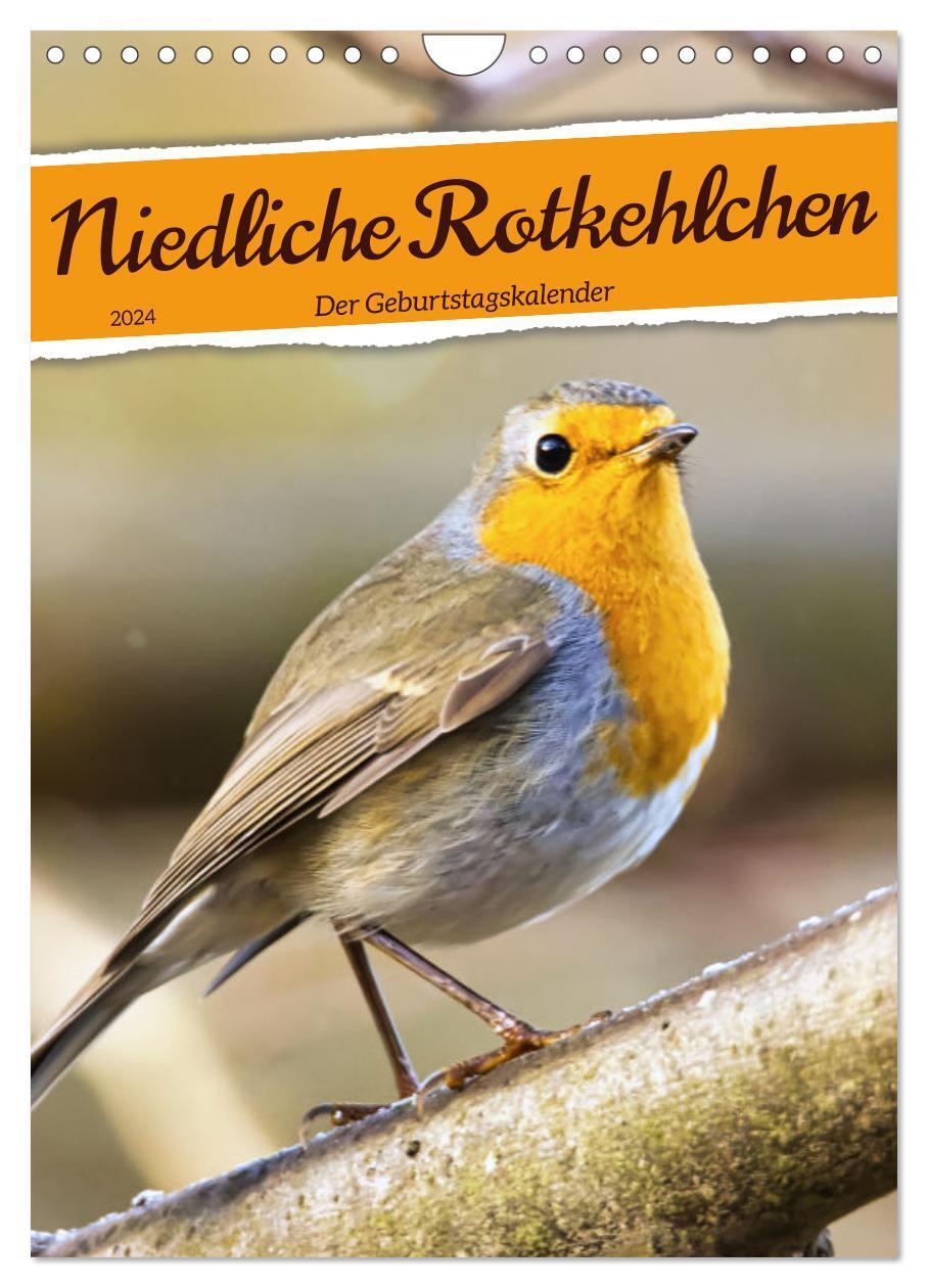 Cover: 9783675615786 | Niedliche Rotkehlchen (Wandkalender 2024 DIN A4 hoch), CALVENDO...
