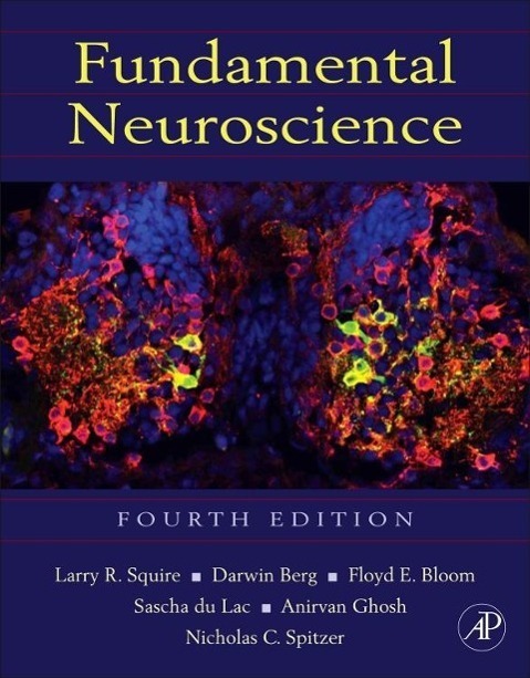 Cover: 9780123858702 | Fundamental Neuroscience | Buch | Englisch | 2012 | EAN 9780123858702