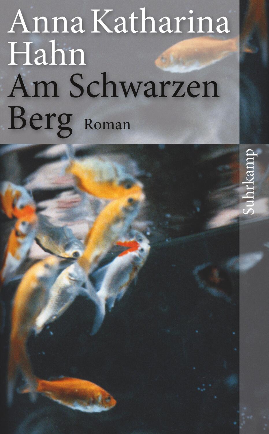 Cover: 9783518464229 | Am Schwarzen Berg | Anna Katharina Hahn | Taschenbuch | Deutsch | 2013