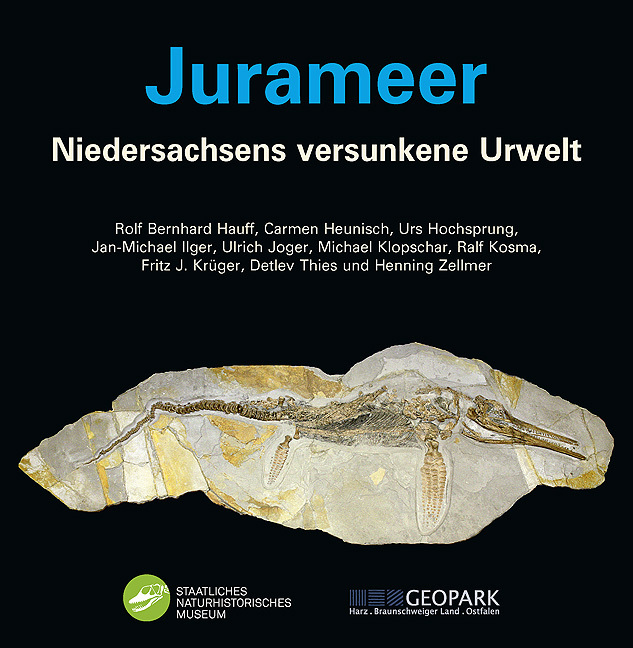 Cover: 9783899371727 | Jurameer | Niedersachsens versunkene Urwelt | Hauff (u. a.) | Buch