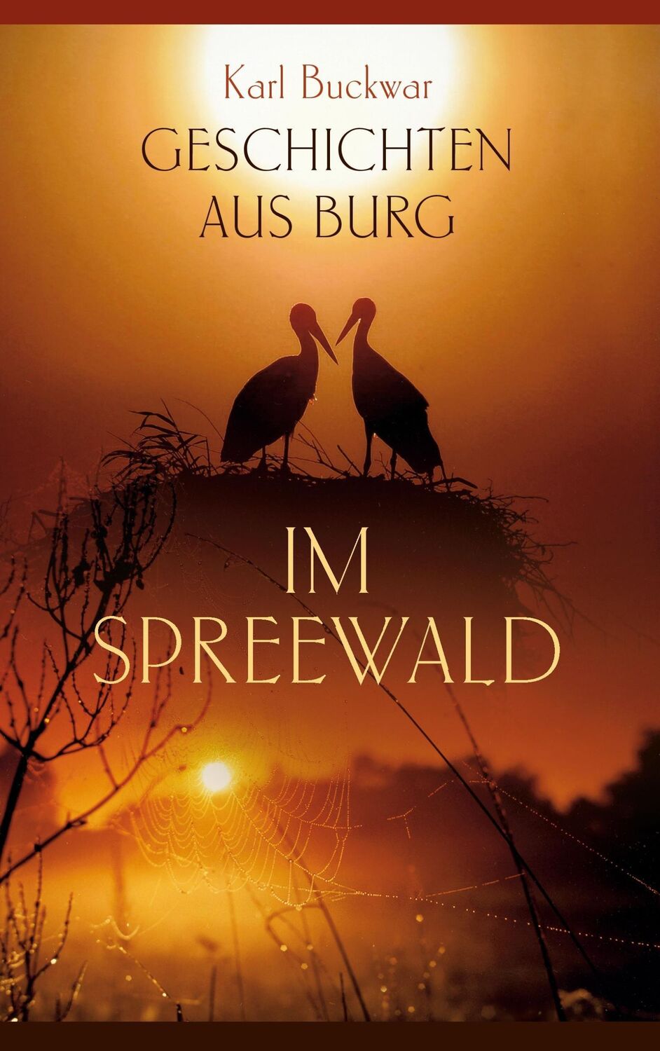 Cover: 9783735709165 | Geschichten aus Burg im Spreewald | Karl Buckwar | Taschenbuch | 2014