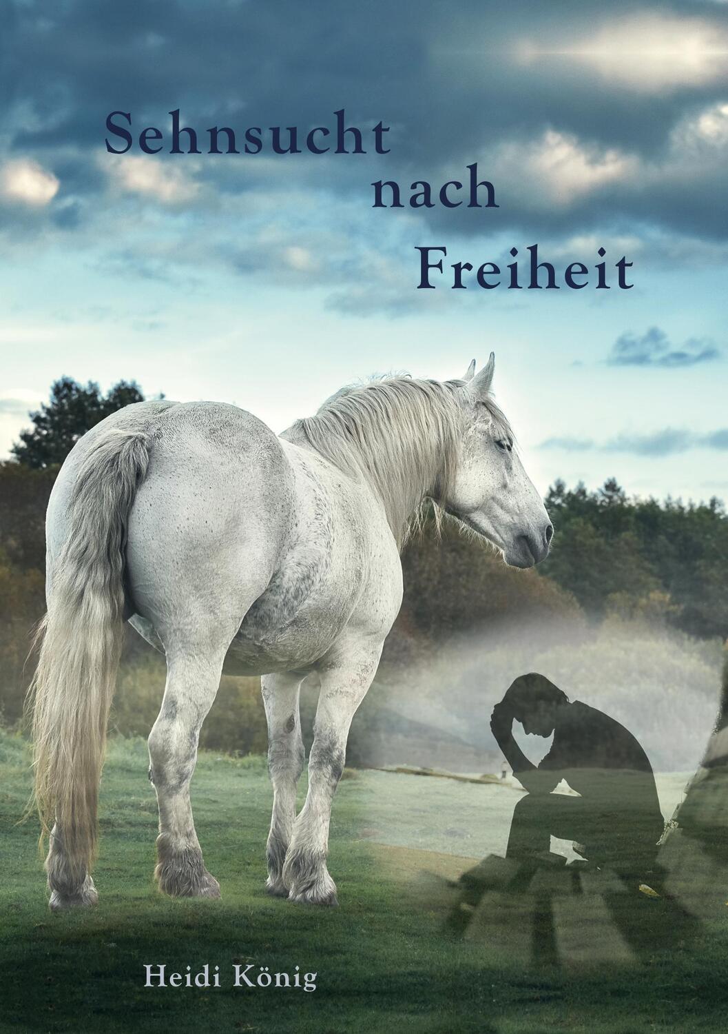 Cover: 9783944464503 | Sehnsucht nach Freiheit | Heidi König | Taschenbuch | Paperback | 2017