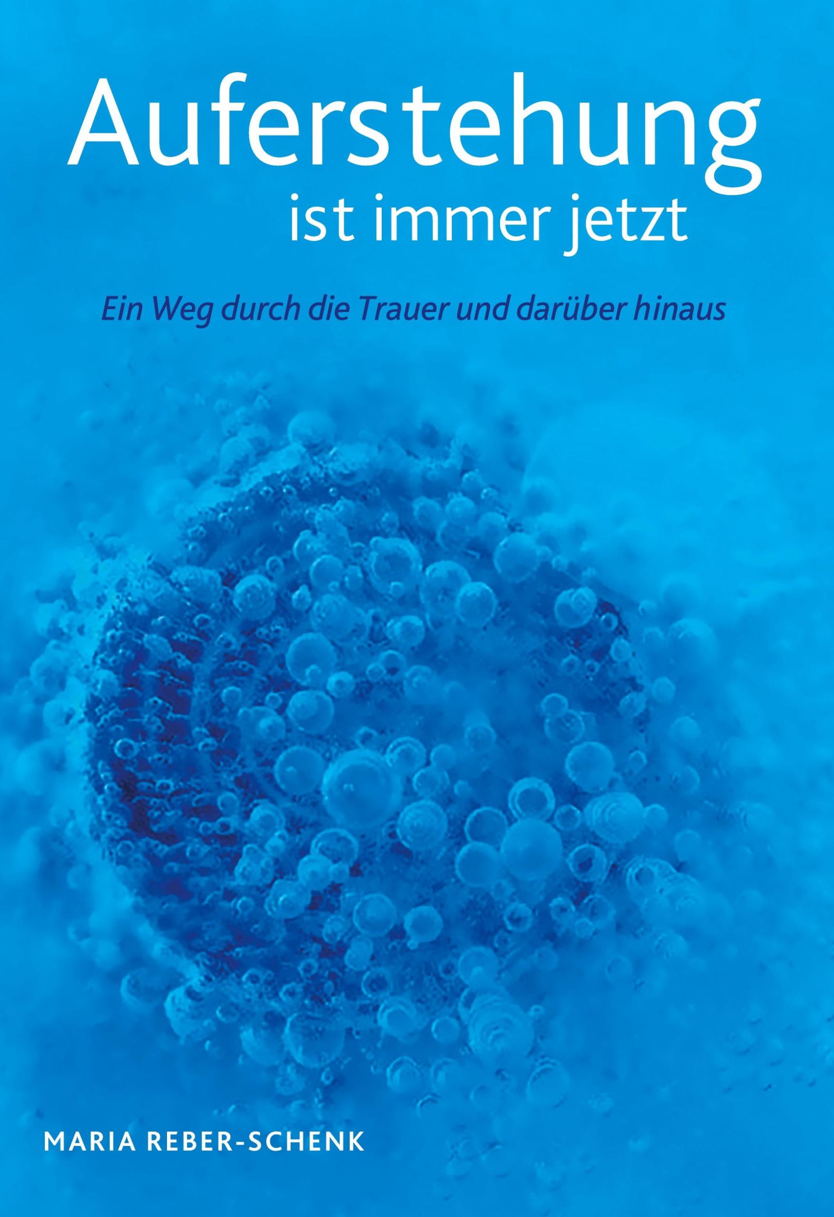 Cover: 9783756817283 | Auferstehung ist immer jetzt | Maria Reber-Schenk | Buch | 188 S.