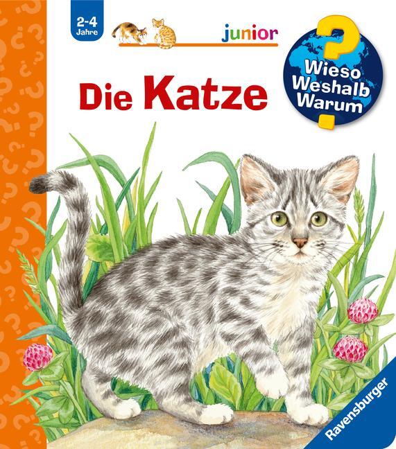 Cover: 9783473327706 | Wieso? Weshalb? Warum? junior, Band 21: Die Katze | Patricia Mennen