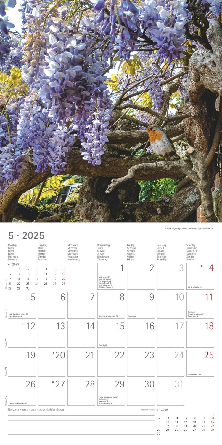 Bild: 4251732340629 | Gartenzauber 2025 - Broschürenkalender 30x30 cm (30x60 geöffnet) -...