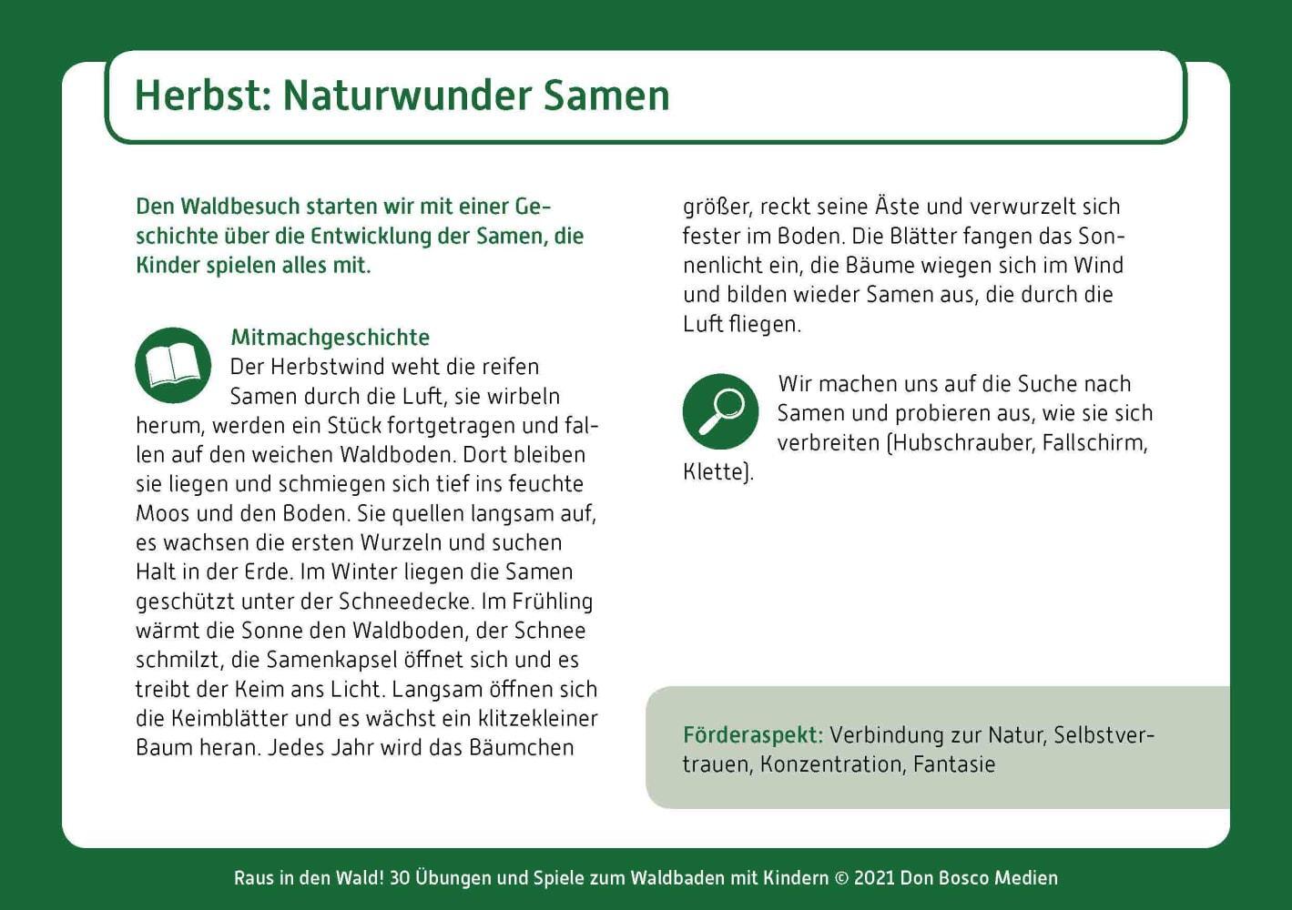 Bild: 4260179517457 | Raus in den Wald! | Carola Bambas (u. a.) | Box | 32 S. | Deutsch