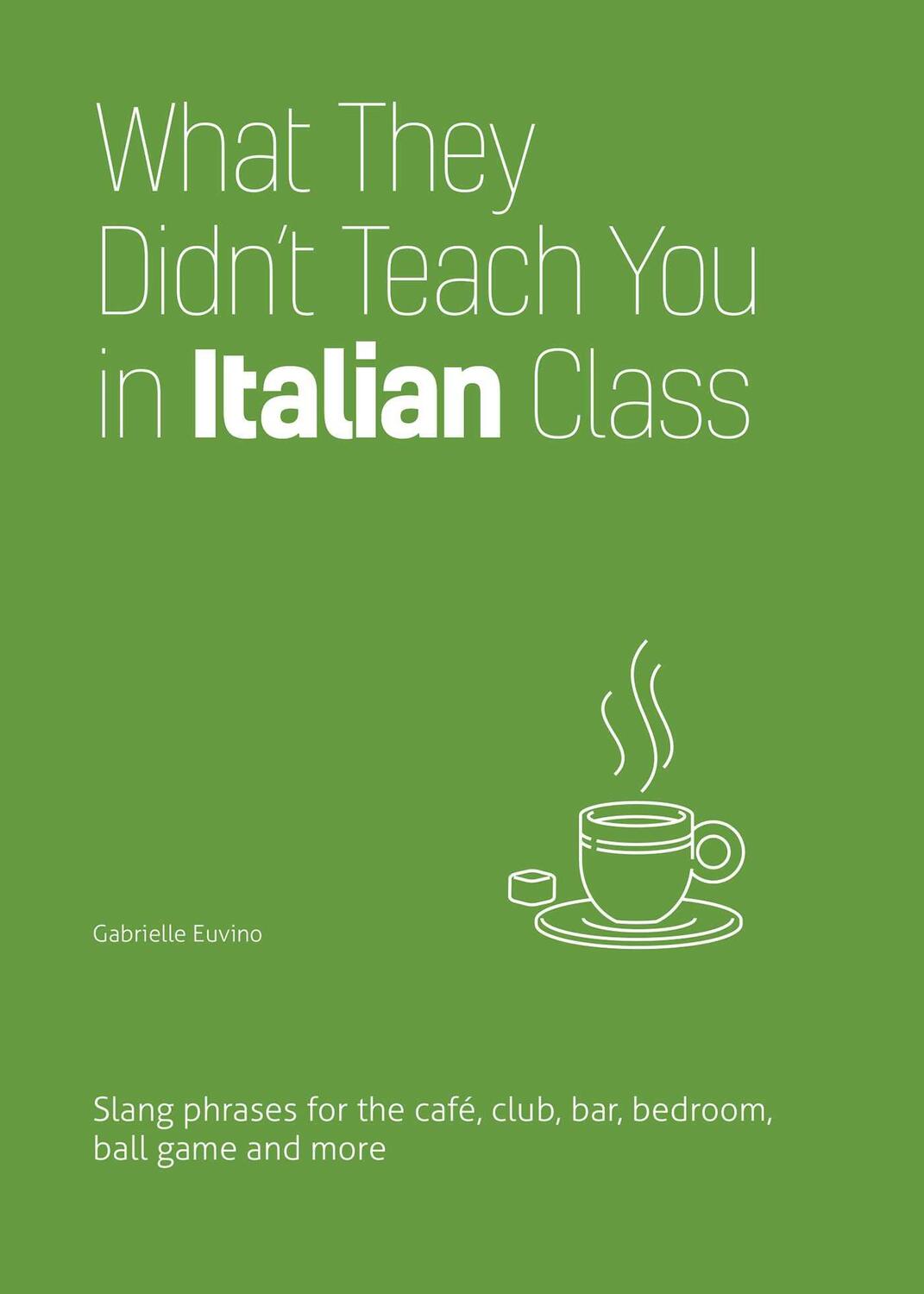 Cover: 9781646043965 | What They Didn't Teach You in Italian Class: Slang Phrases for the...